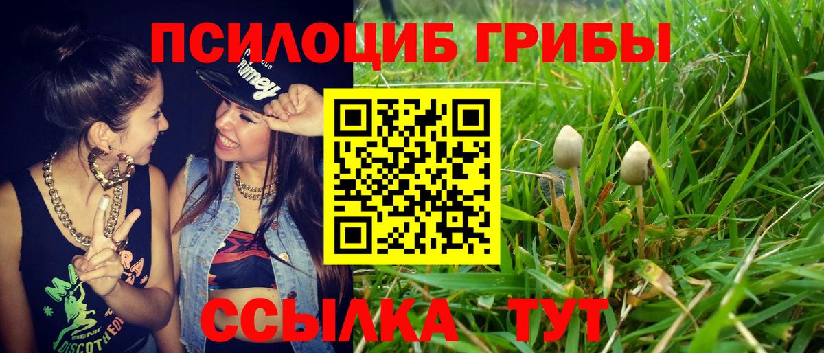 Чусовой  Галлюциногенные грибы GOLDEN TEACHER  Псилоцибиновые грибы прущие грибы  Вход с VPN 