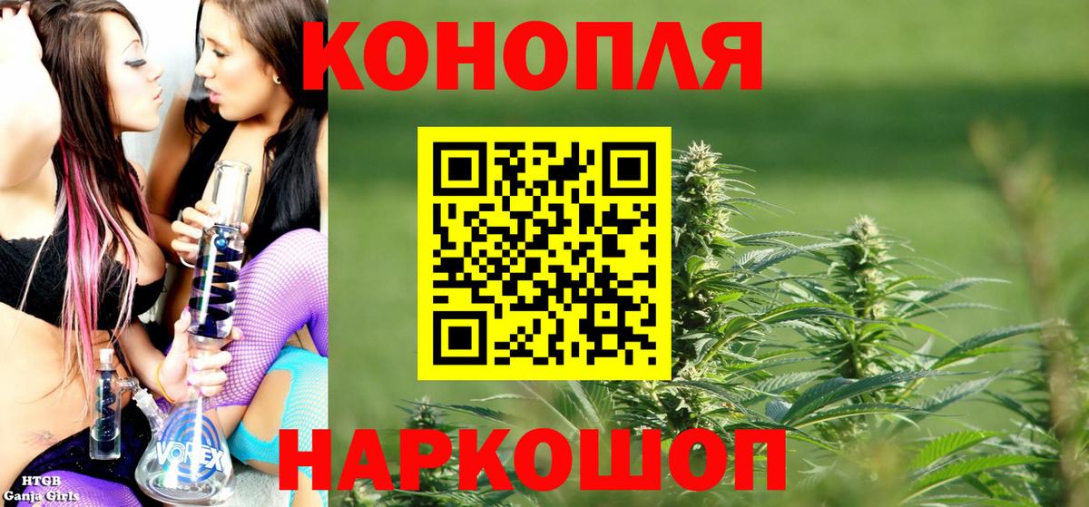 Каннабис сатива Чусовой